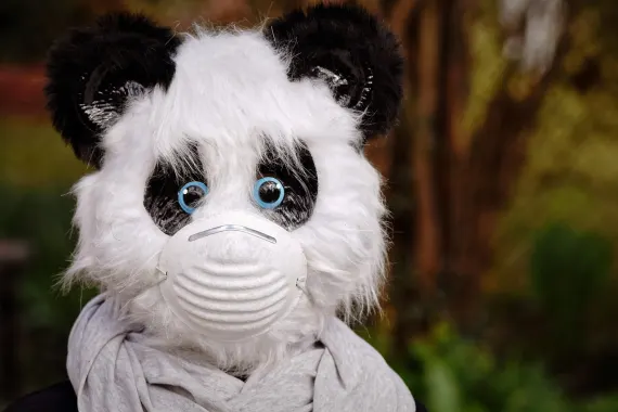 Casino Cabaret Club Suporte